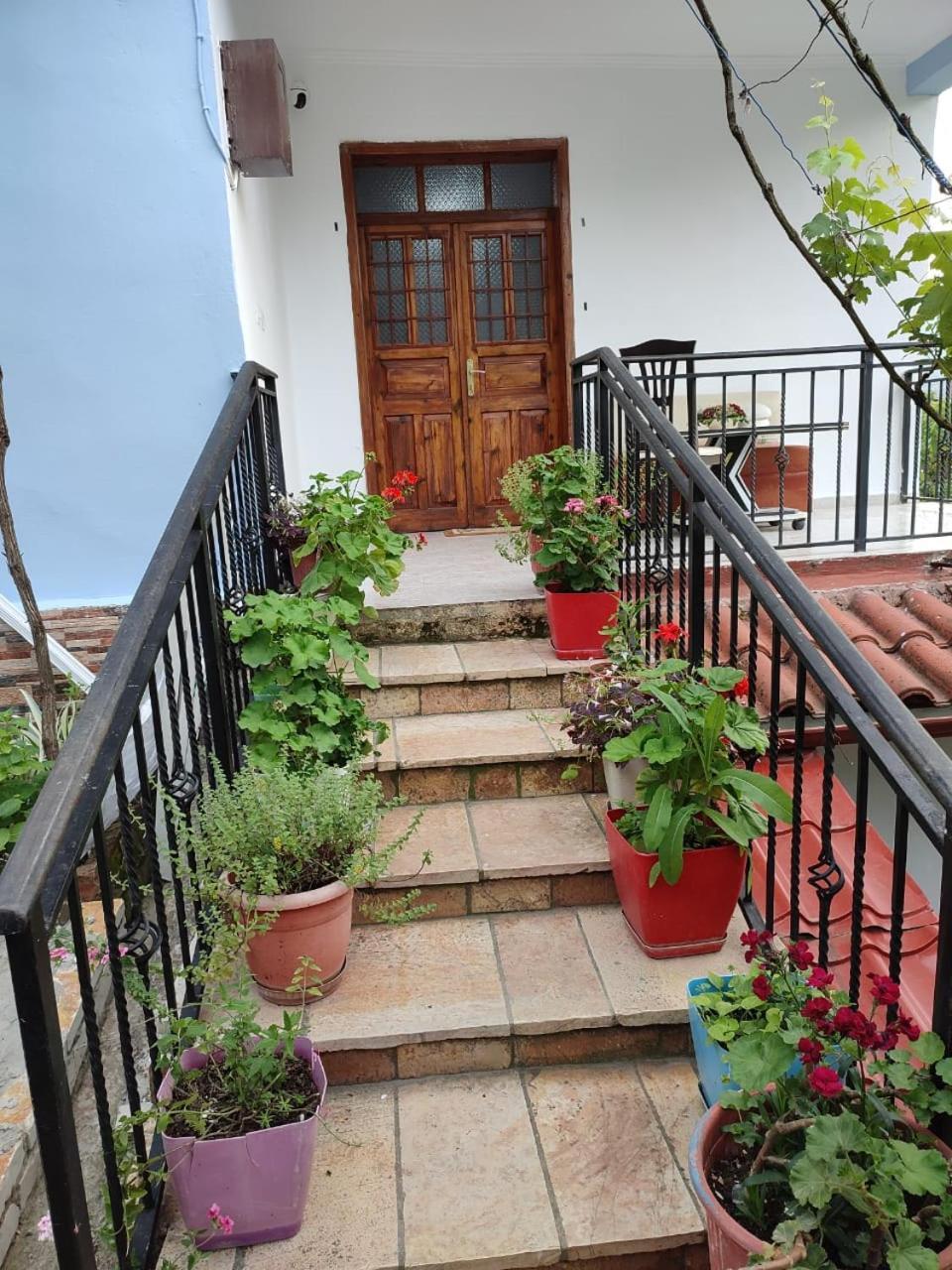Guest House Eloid Berat Extérieur photo