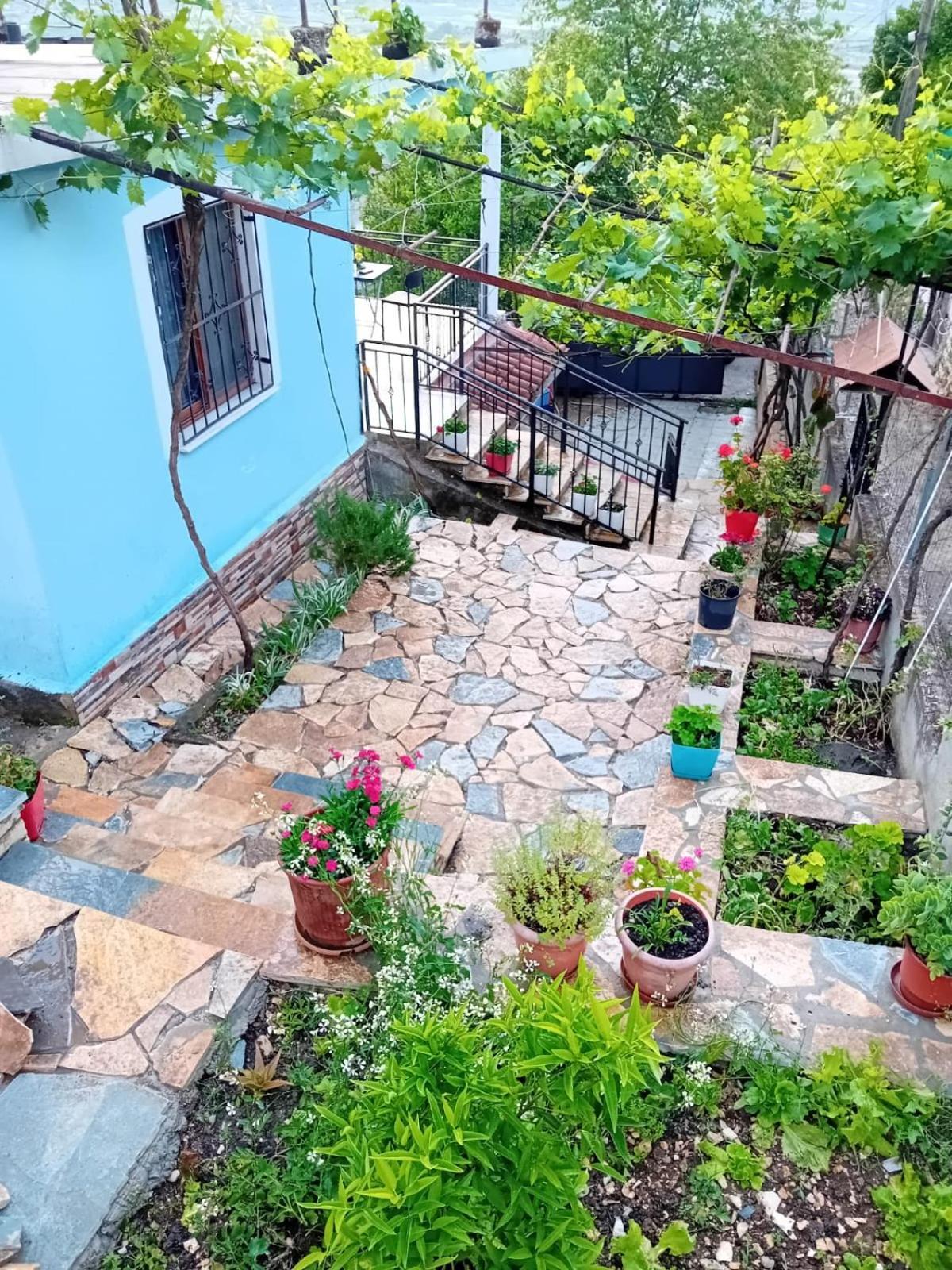 Guest House Eloid Berat Extérieur photo